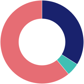 Donation allocation chart